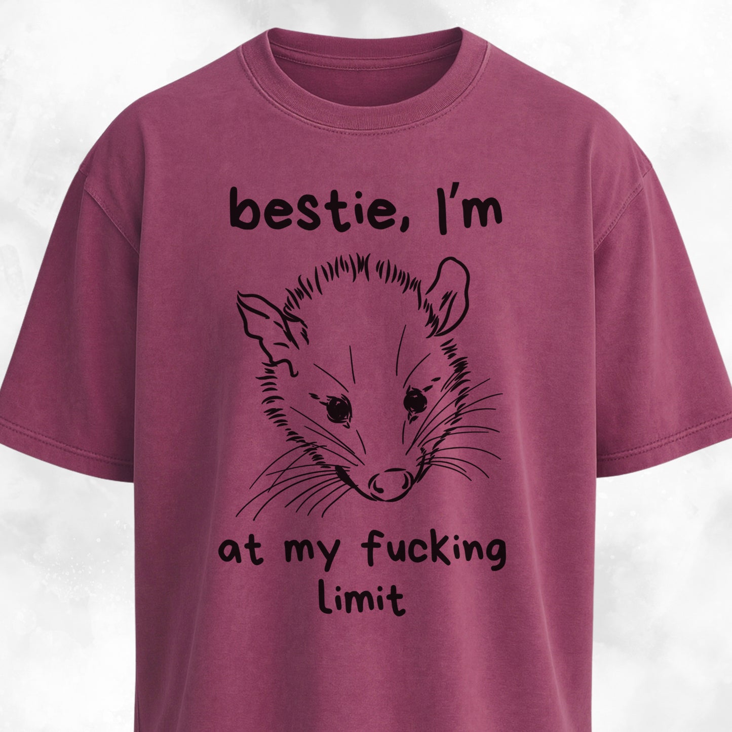 Bestie I'm At My Fucking Limit Possum T-Shirt