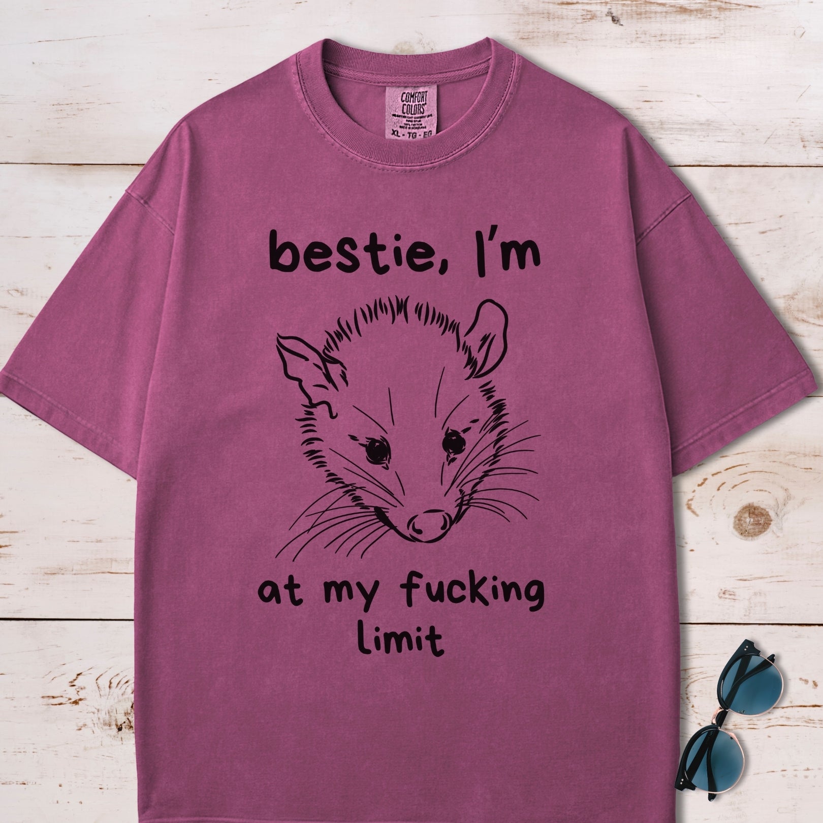 Bestie I'm At My Fucking Limit Possum T-Shirt
