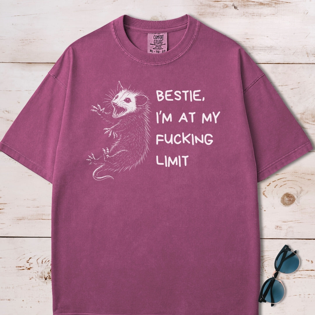 Funny Unhinged Possum Bestie T-Shirt