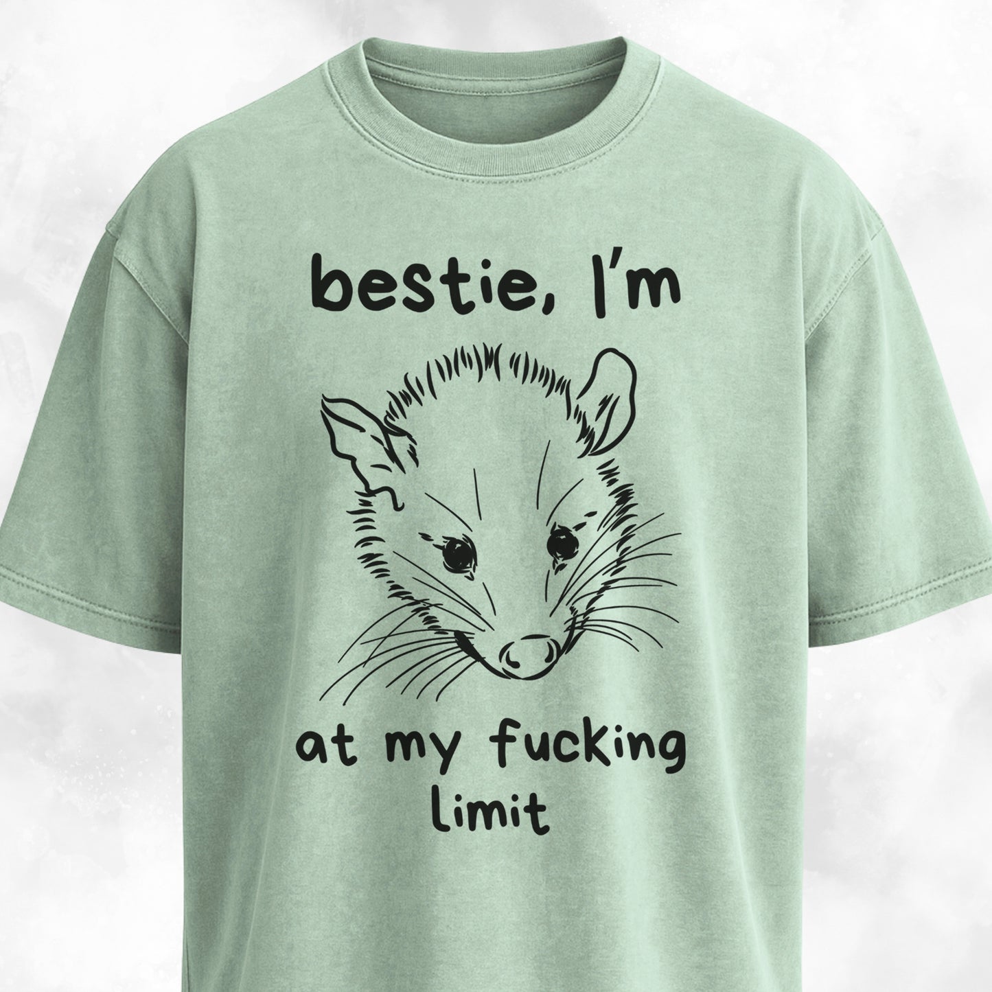 Bestie I'm At My Fucking Limit Possum T-Shirt