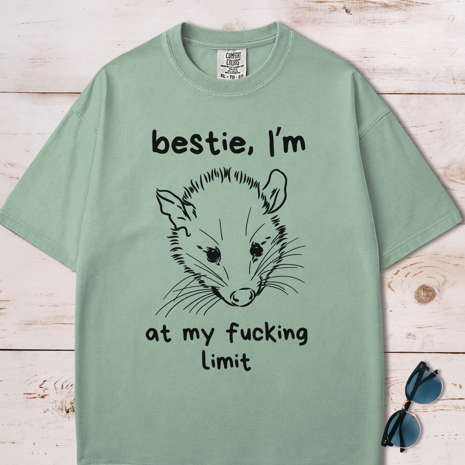 Bestie I'm At My Fucking Limit Possum T-Shirt