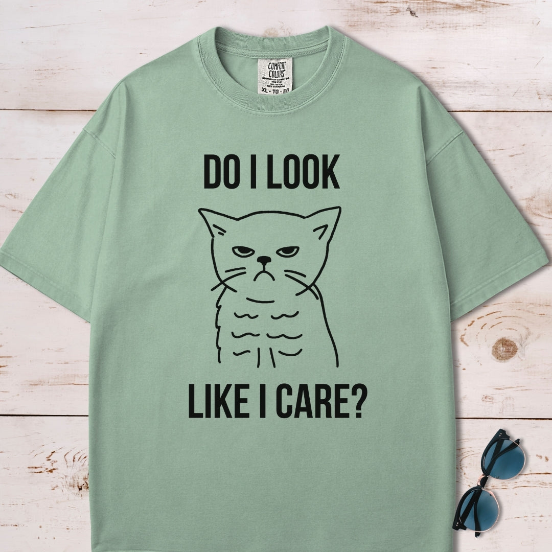Do I Look Like I Care Grumpy Cat T-Shirt
