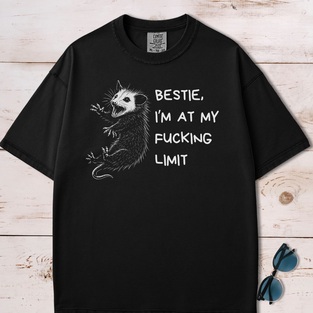 Funny Unhinged Possum Bestie T-Shirt