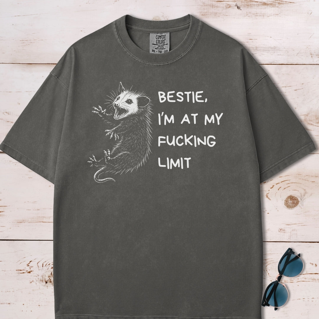 Funny Unhinged Possum Bestie T-Shirt