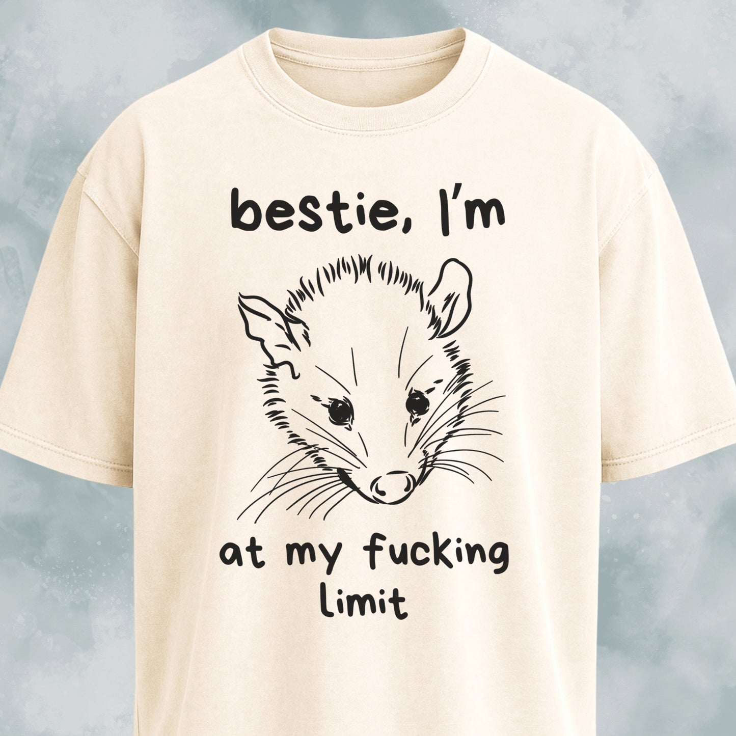 Bestie I'm At My Fucking Limit Possum T-Shirt