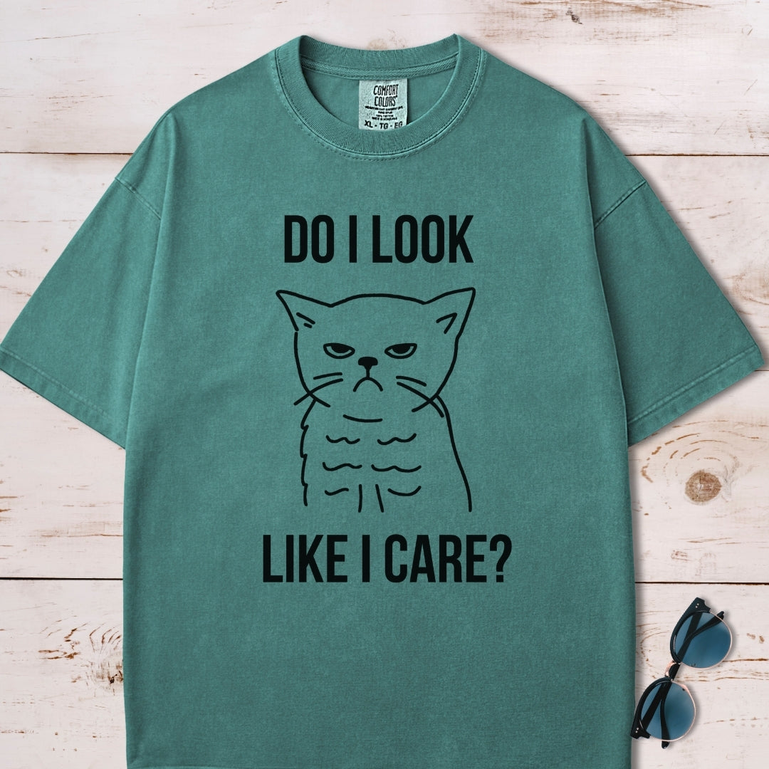 Do I Look Like I Care Grumpy Cat T-Shirt