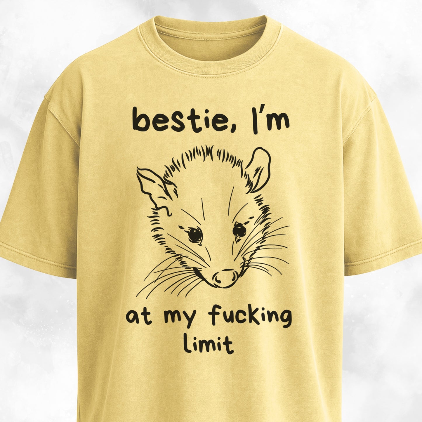 Bestie I'm At My Fucking Limit Possum T-Shirt