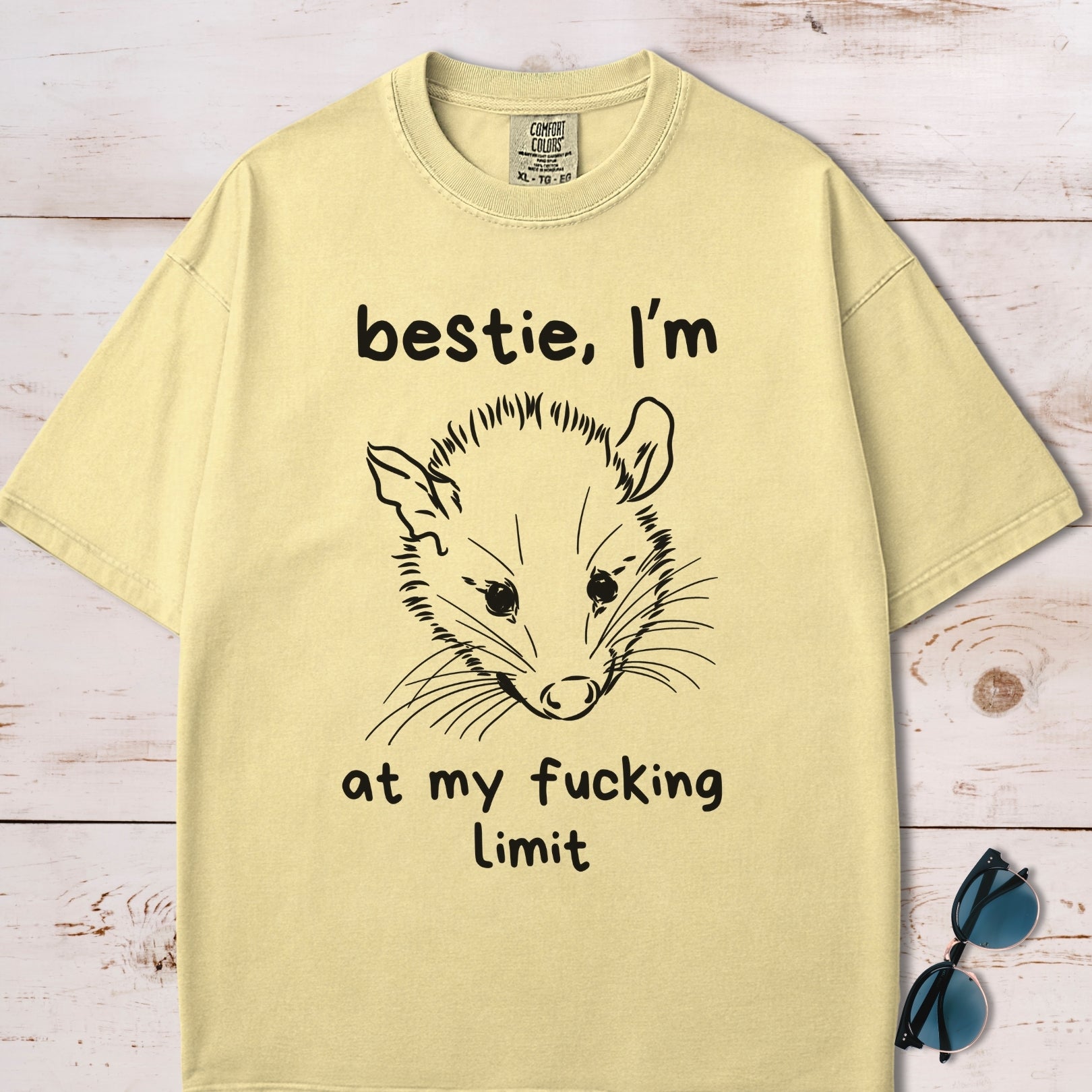Bestie I'm At My Fucking Limit Possum T-Shirt