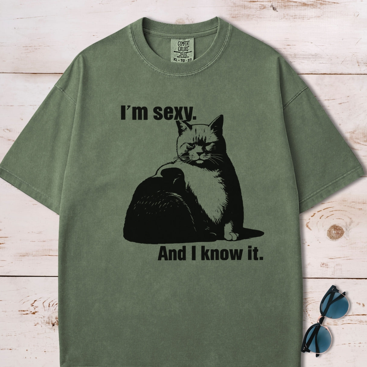 I'm Sexy And I Know It Chubby Cat T-Shirt