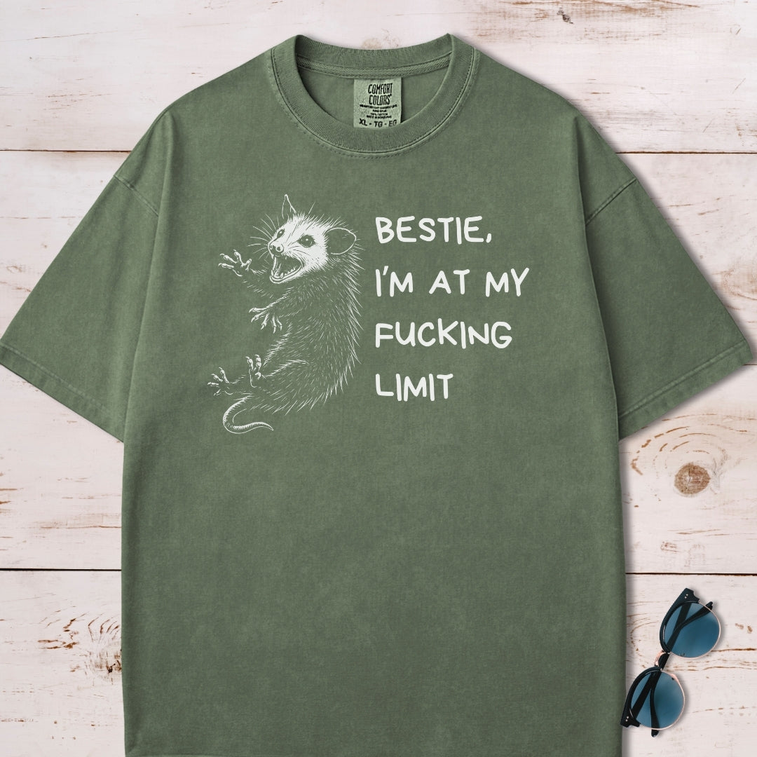 Funny Unhinged Possum Bestie T-Shirt