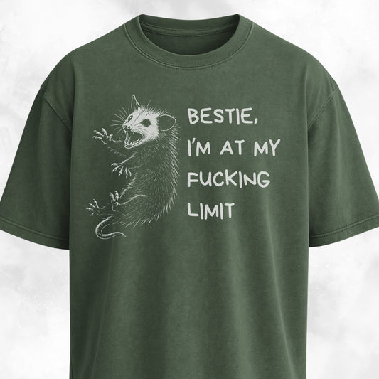 Funny Unhinged Possum Bestie T-Shirt