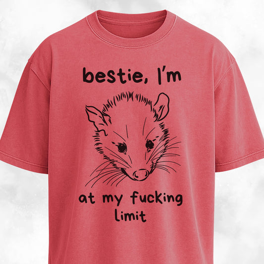 Bestie I'm At My Fucking Limit Possum T-Shirt