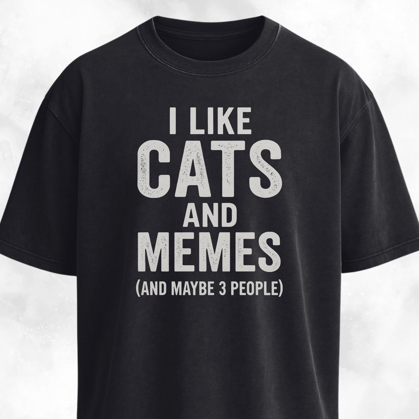 I Like Cats And Memes Sarcastic T-Shirt