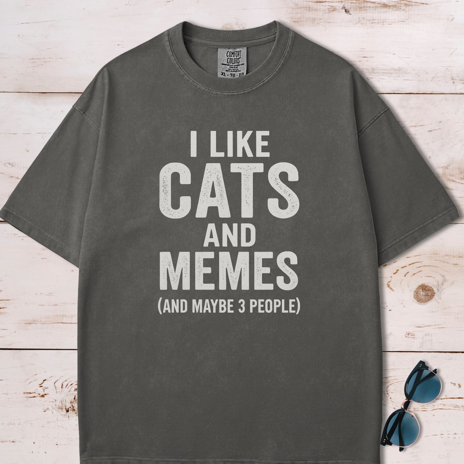 I Like Cats And Memes Sarcastic T-Shirt