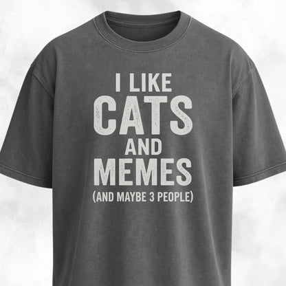 I Like Cats And Memes Sarcastic T-Shirt