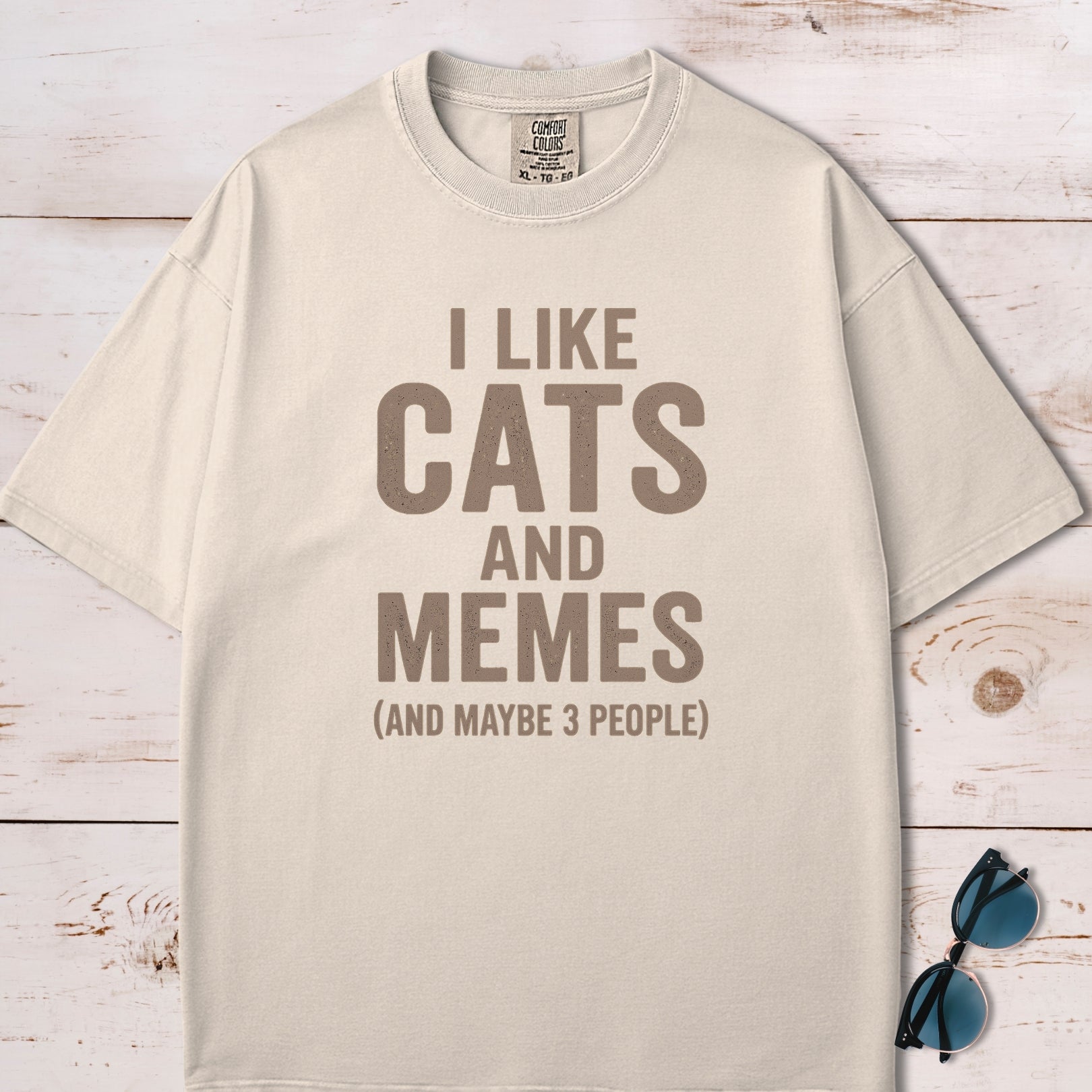 I Like Cats And Memes Sarcastic T-Shirt