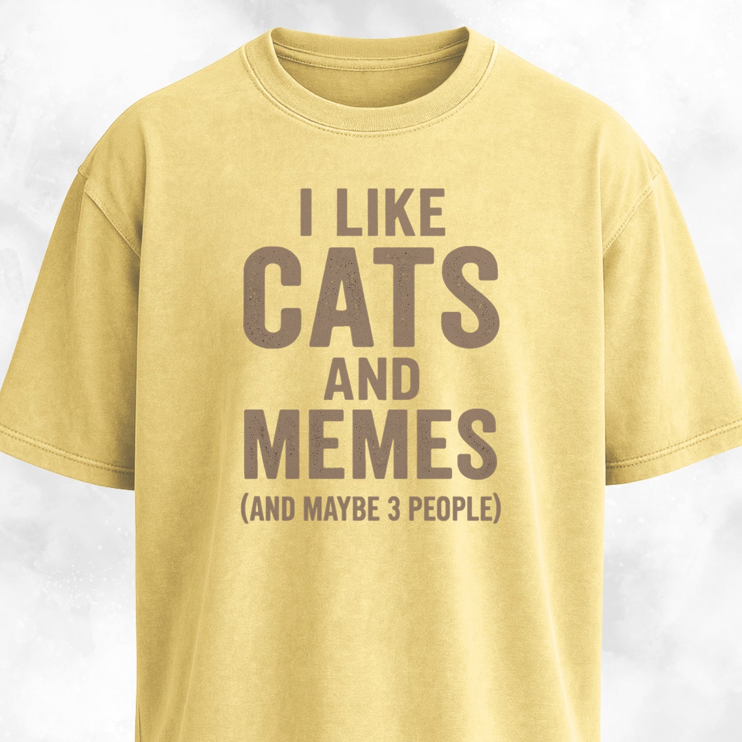 I Like Cats And Memes Sarcastic T-Shirt