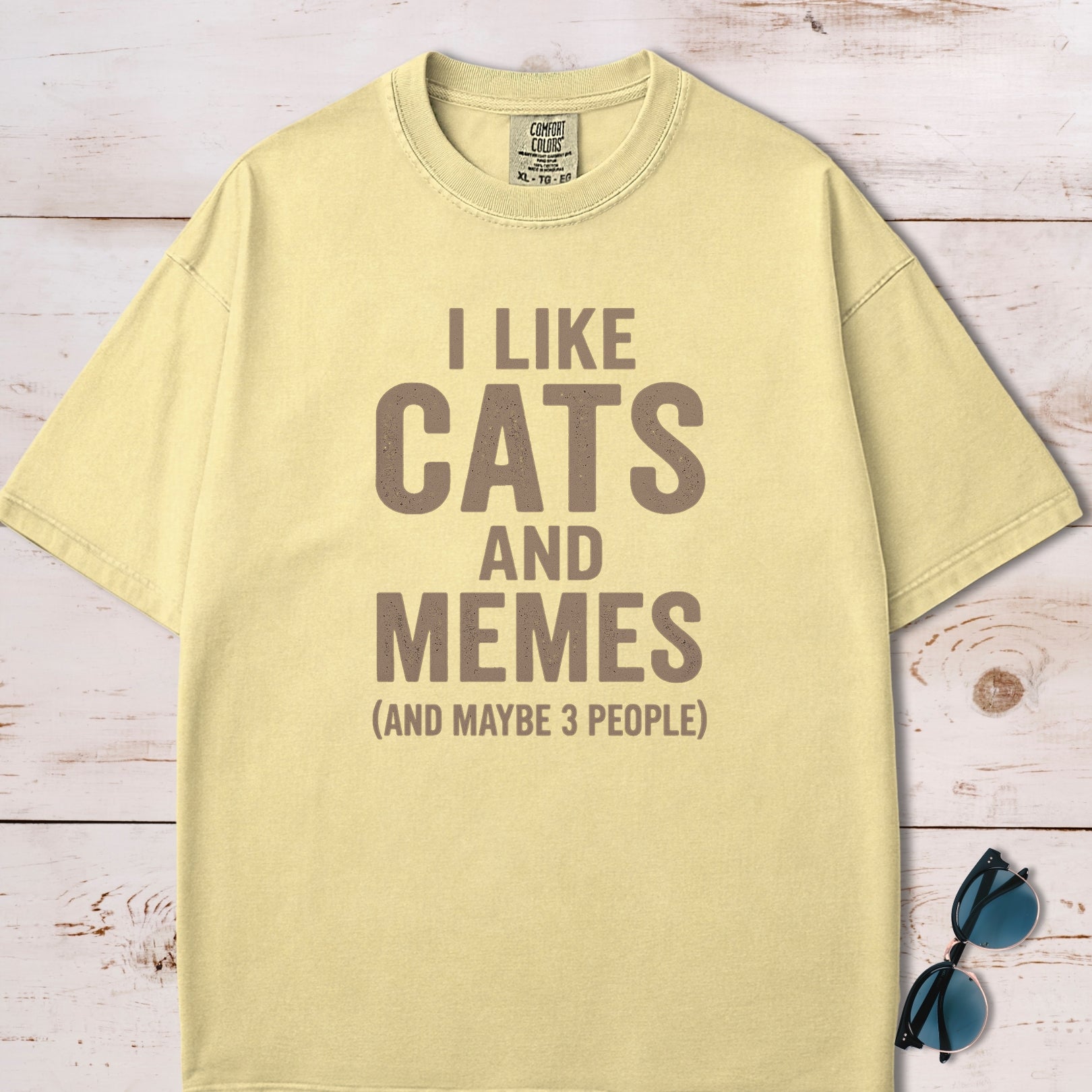 I Like Cats And Memes Sarcastic T-Shirt