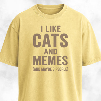 I Like Cats And Memes Sarcastic T-Shirt