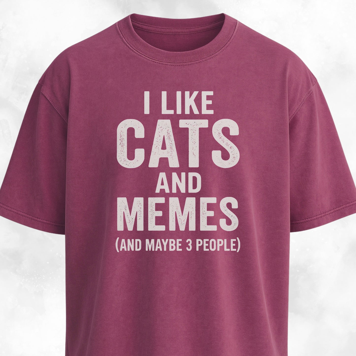 I Like Cats And Memes Sarcastic T-Shirt