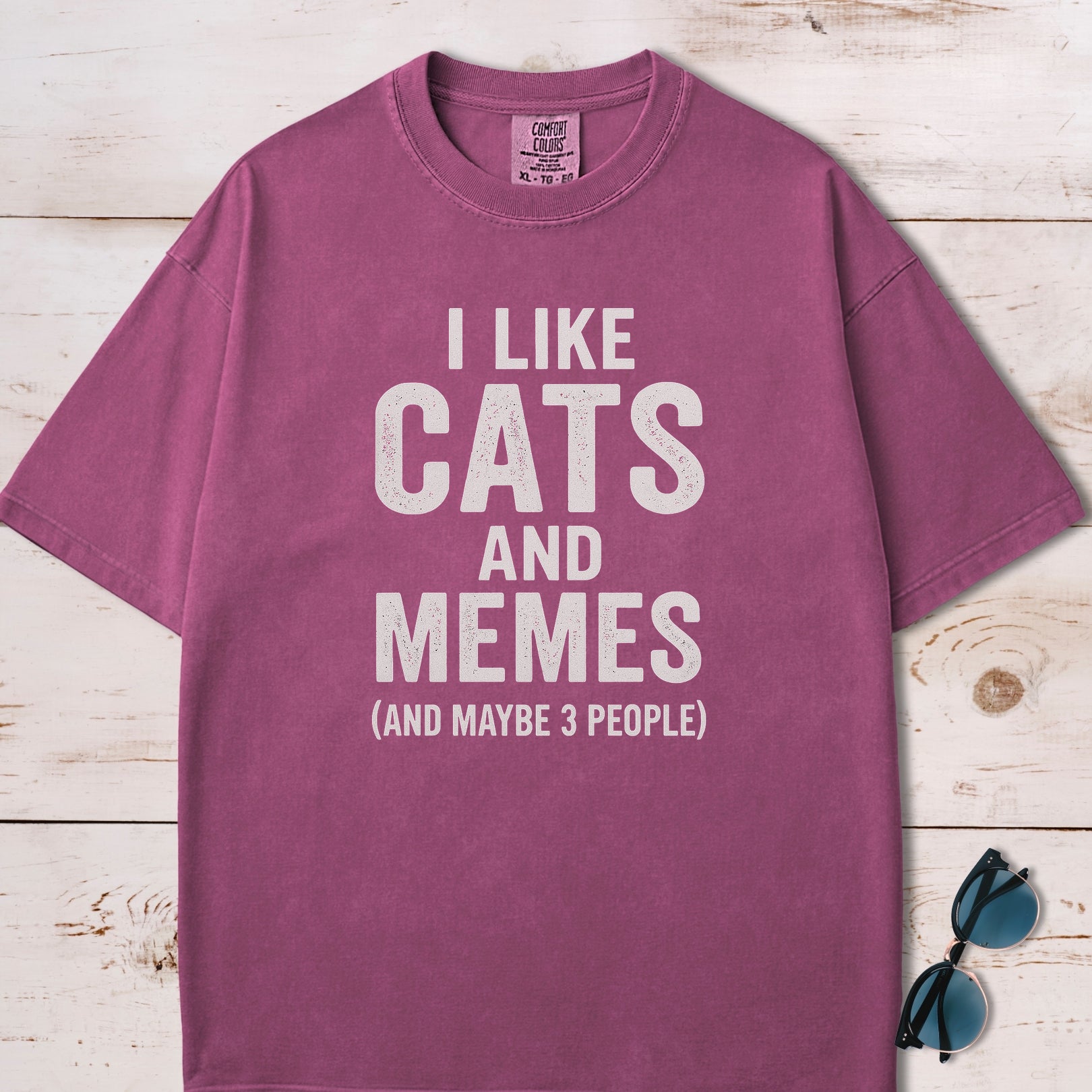 I Like Cats And Memes Sarcastic T-Shirt