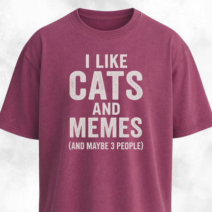 I Like Cats And Memes Sarcastic T-Shirt