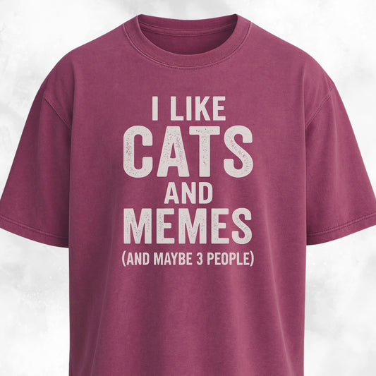 I Like Cats And Memes Sarcastic T-Shirt