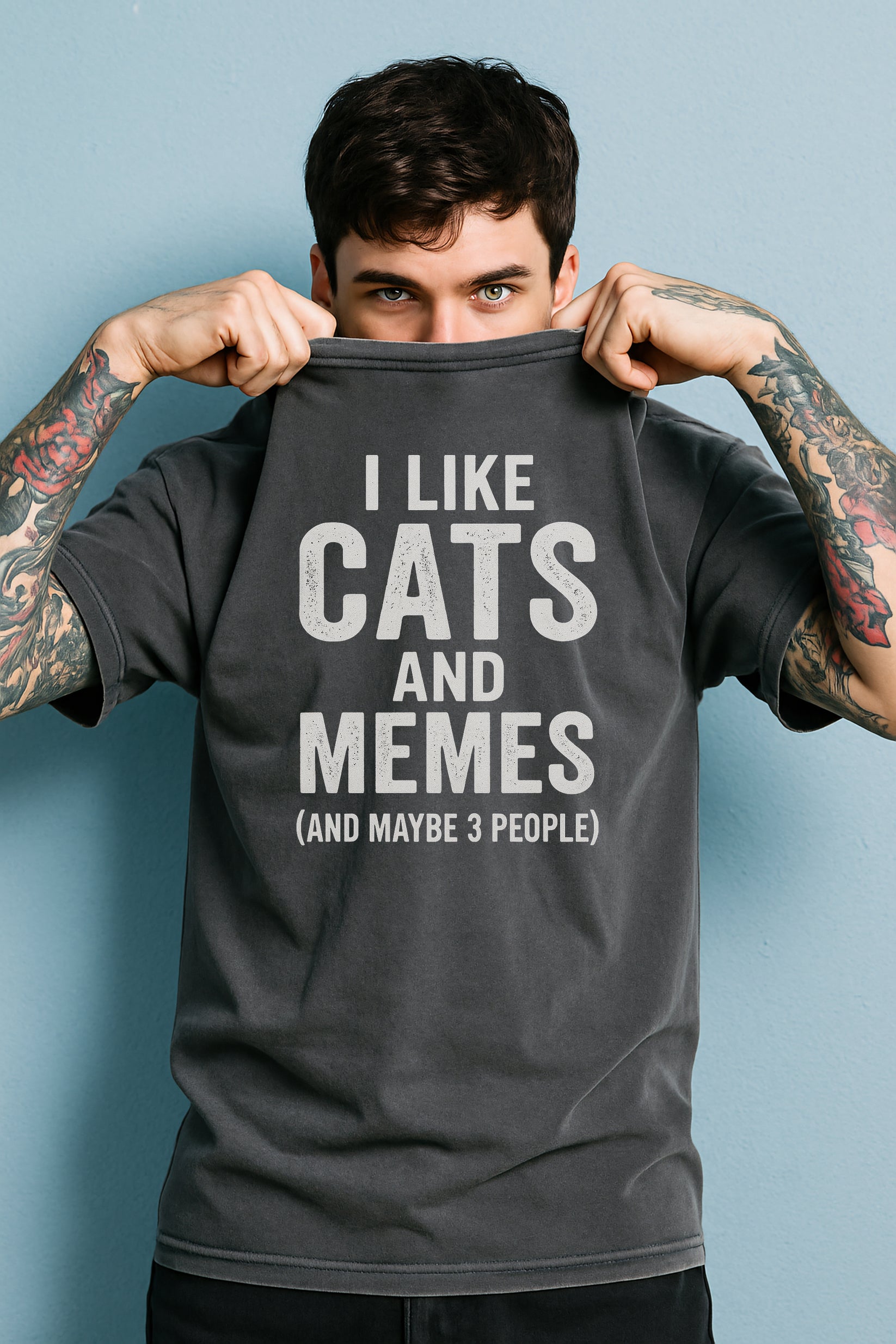 I Like Cats And Memes Sarcastic T-Shirt