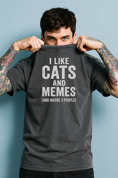 I Like Cats And Memes Sarcastic T-Shirt