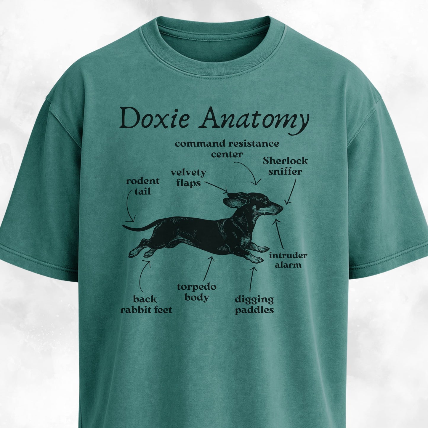 Doxie Anatomy T-Shirt