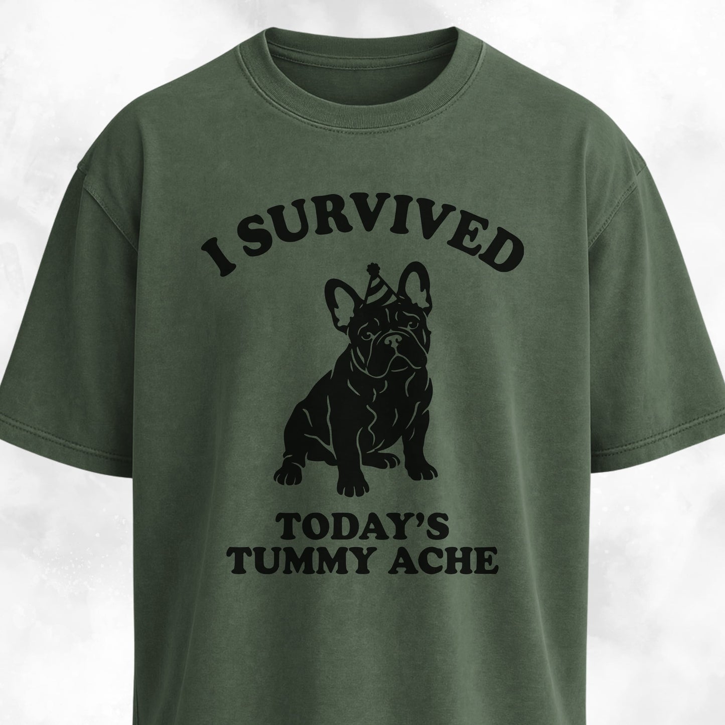 I Survived Today's Tummy Ache Frenchie T-Shirt