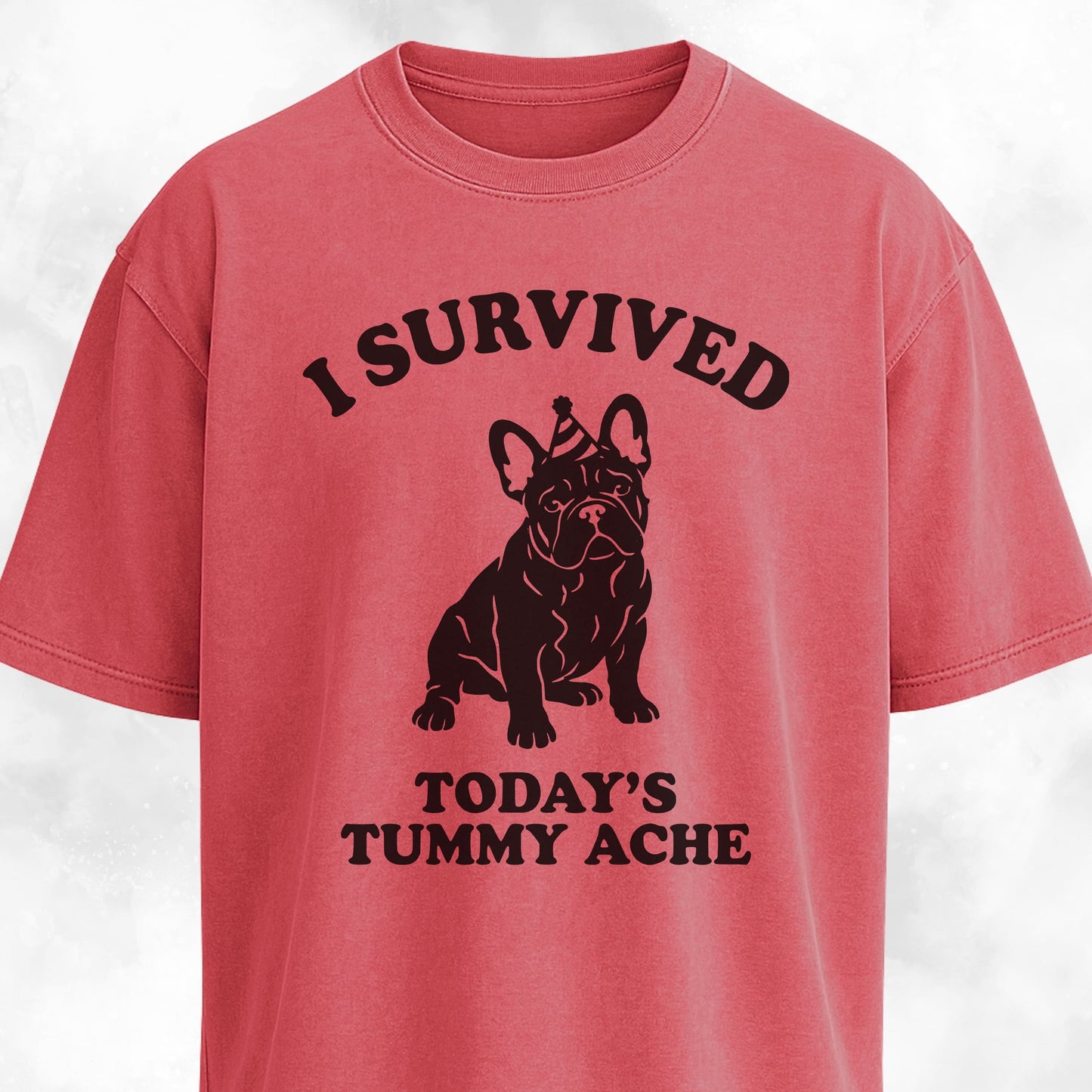 I Survived Today's Tummy Ache Frenchie T-Shirt