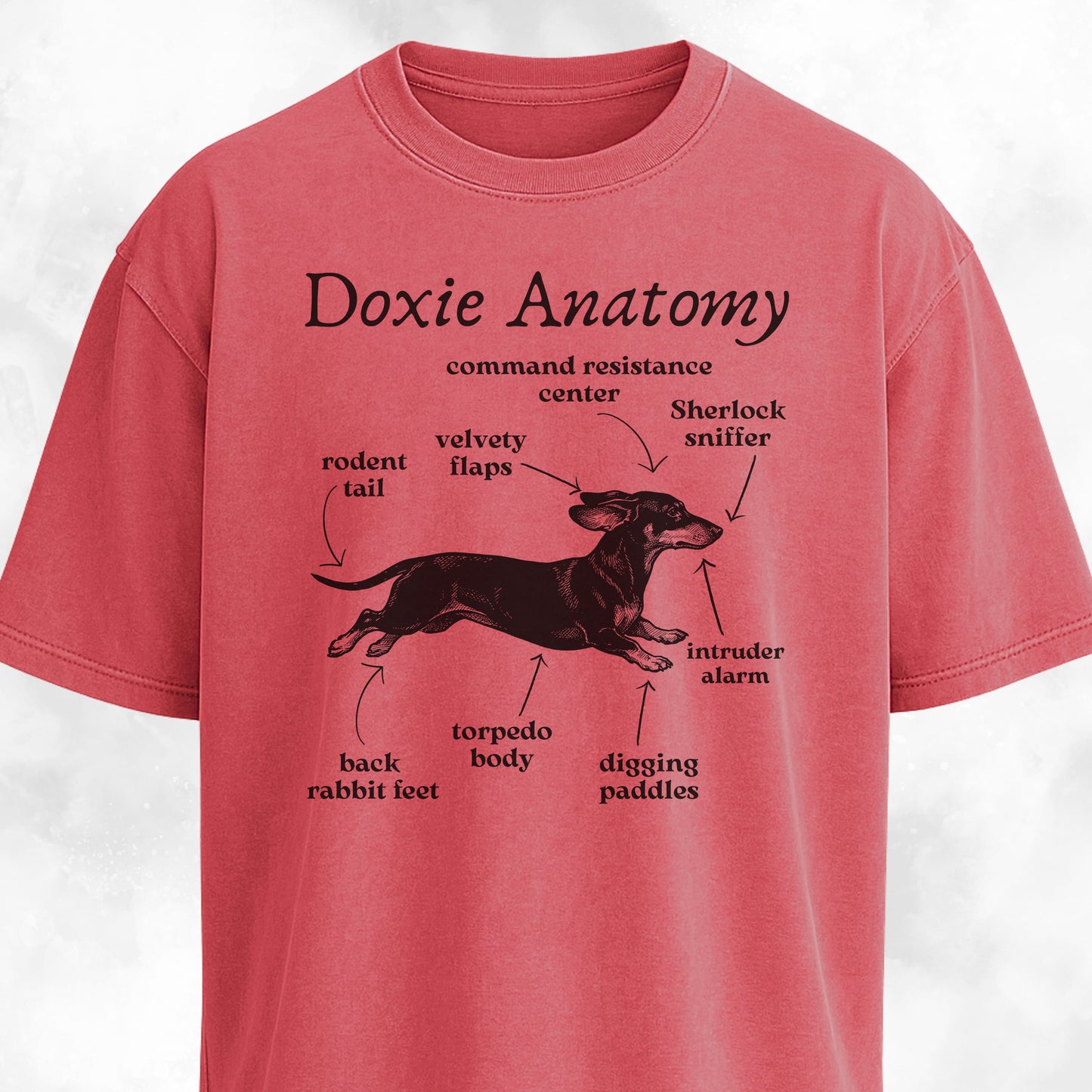 Doxie Anatomy T-Shirt