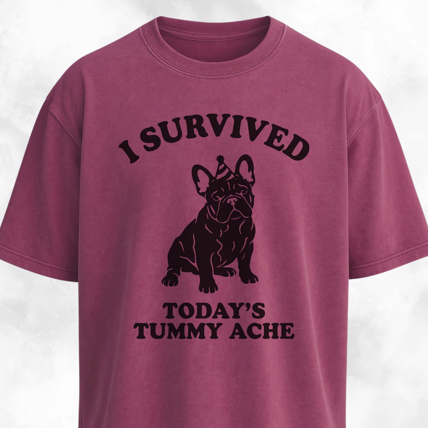 I Survived Today's Tummy Ache Frenchie T-Shirt