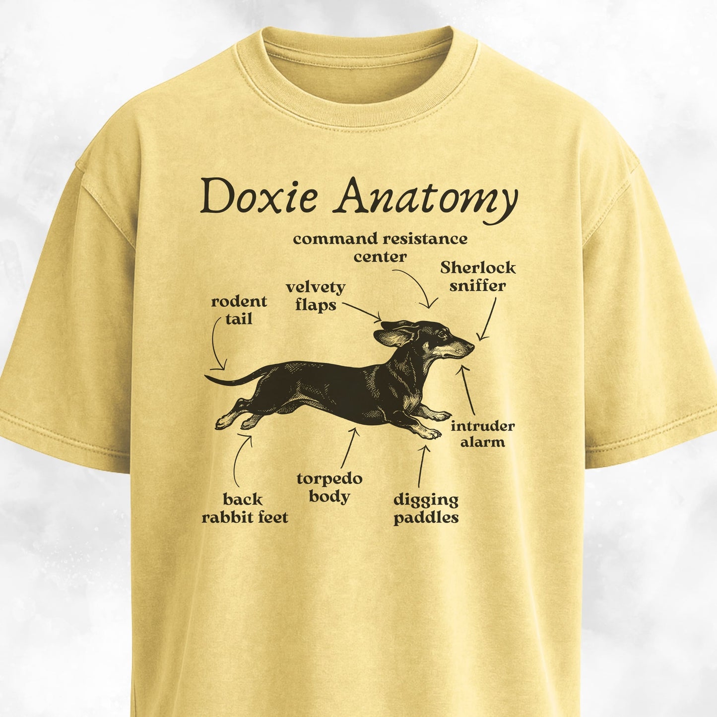 Doxie Anatomy T-Shirt