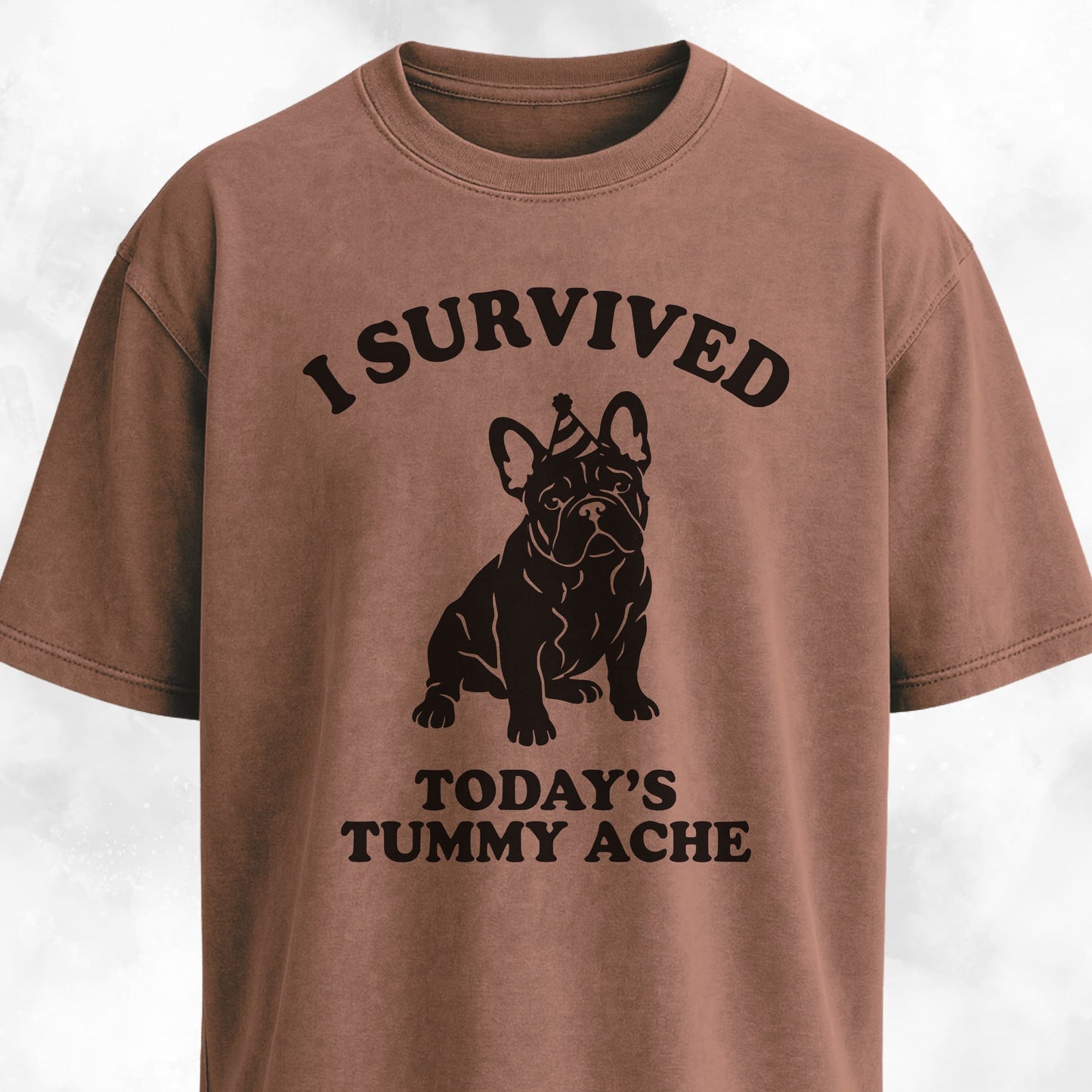 I Survived Today's Tummy Ache Frenchie T-Shirt