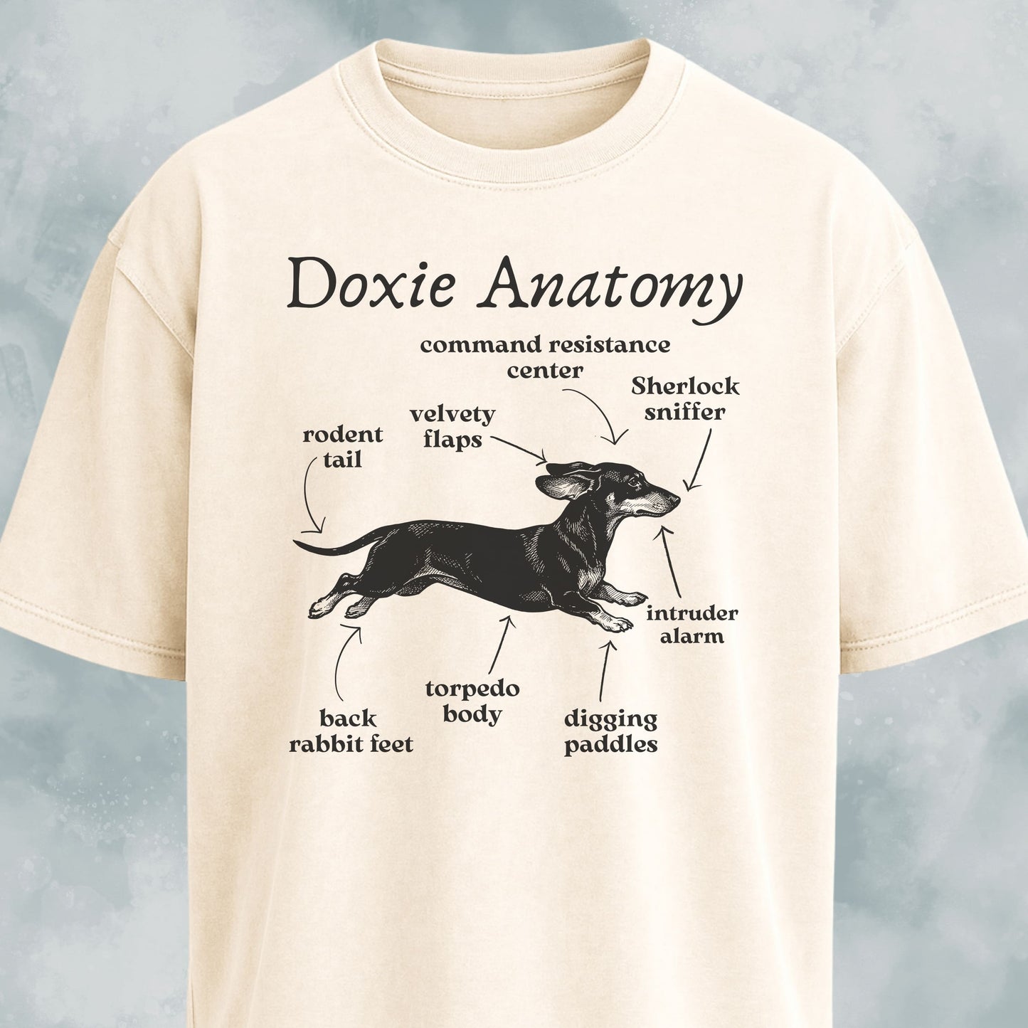 Doxie Anatomy T-Shirt