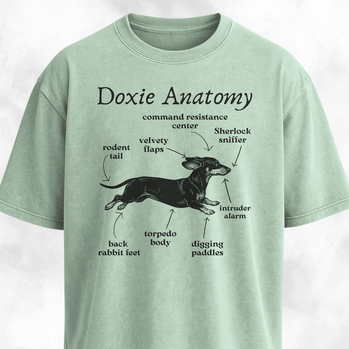 Doxie Anatomy T-Shirt