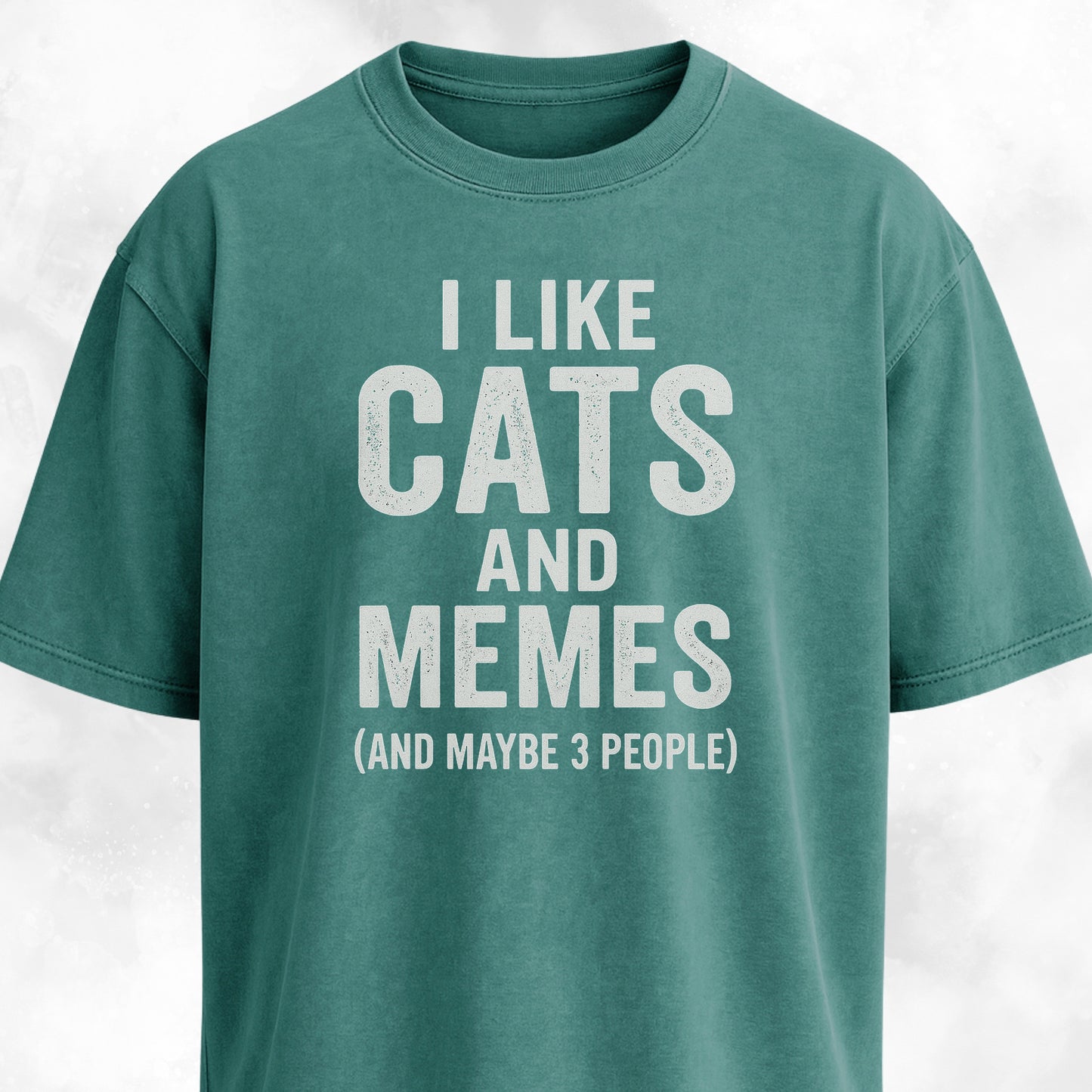 I Like Cats And Memes Sarcastic T-Shirt