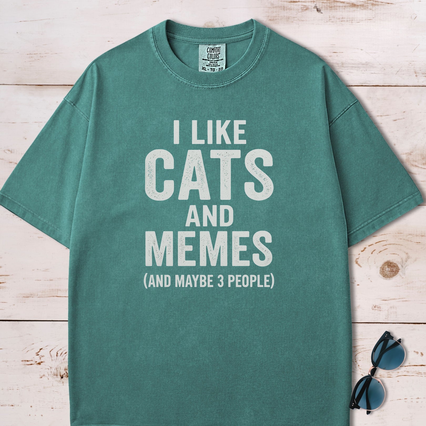 I Like Cats And Memes Sarcastic T-Shirt