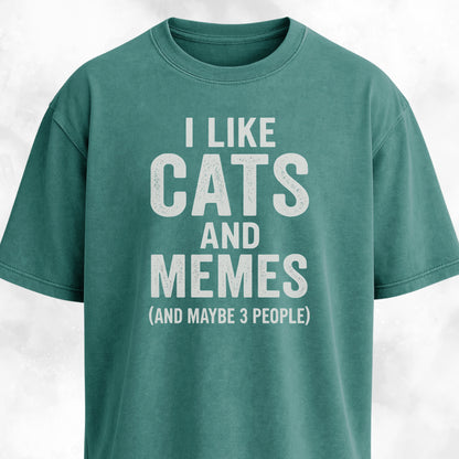 I Like Cats And Memes Sarcastic T-Shirt