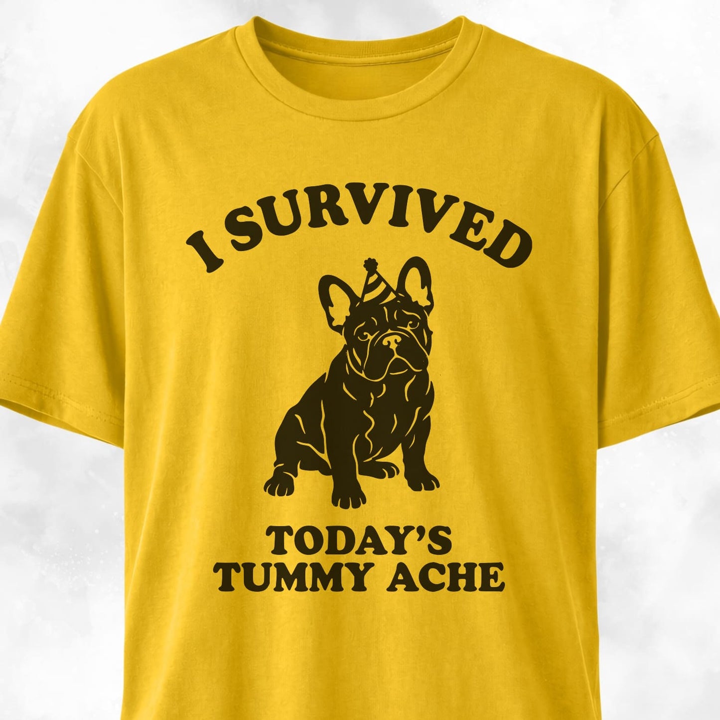 I Survived Today's Tummy Ache Frenchie T-Shirt