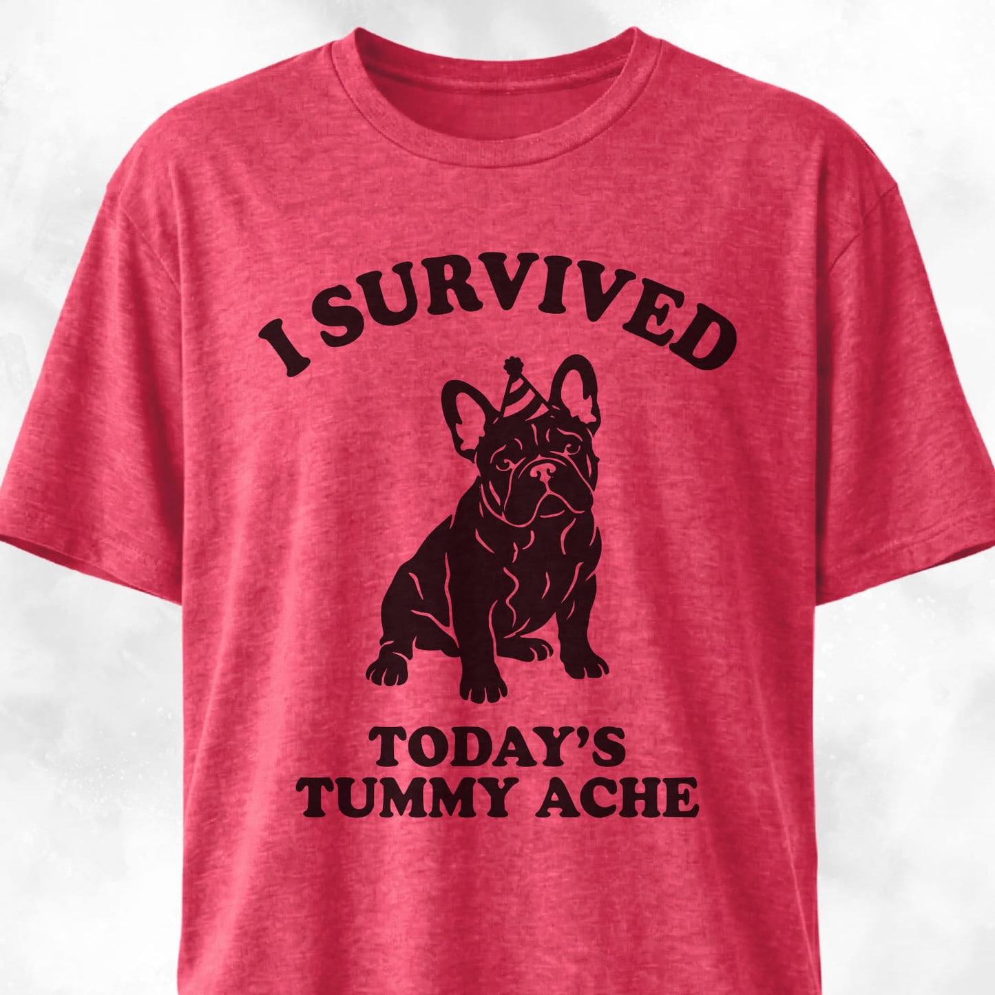 I Survived Today's Tummy Ache Frenchie T-Shirt